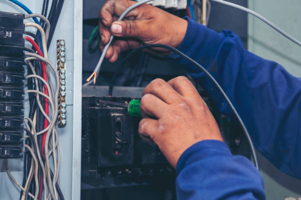 Best Electrical System Inspection  in Weyers Cave, VA